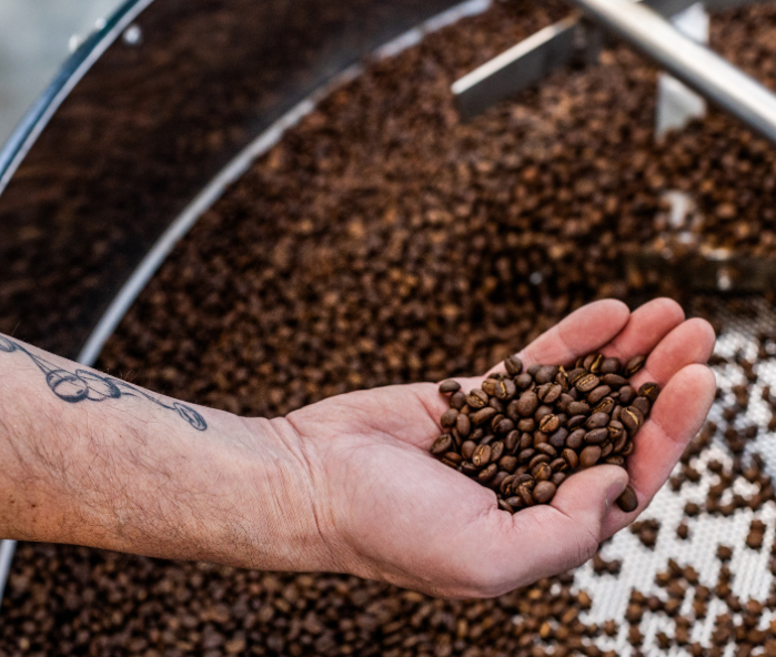 Tattoo Coffee – kawa ziarnista premium i specialty