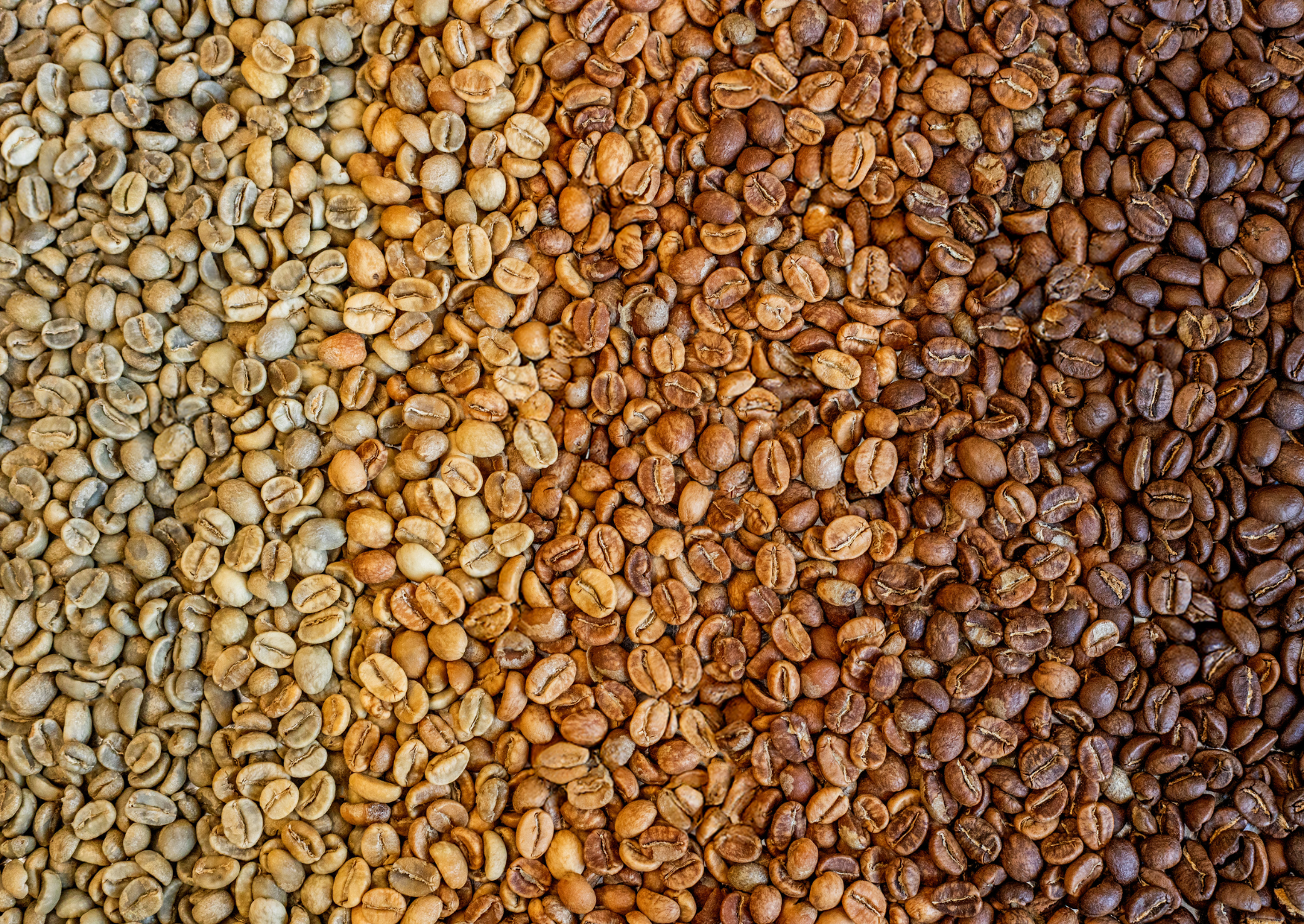 Stopień palenia kawy - co za sobą niesie?