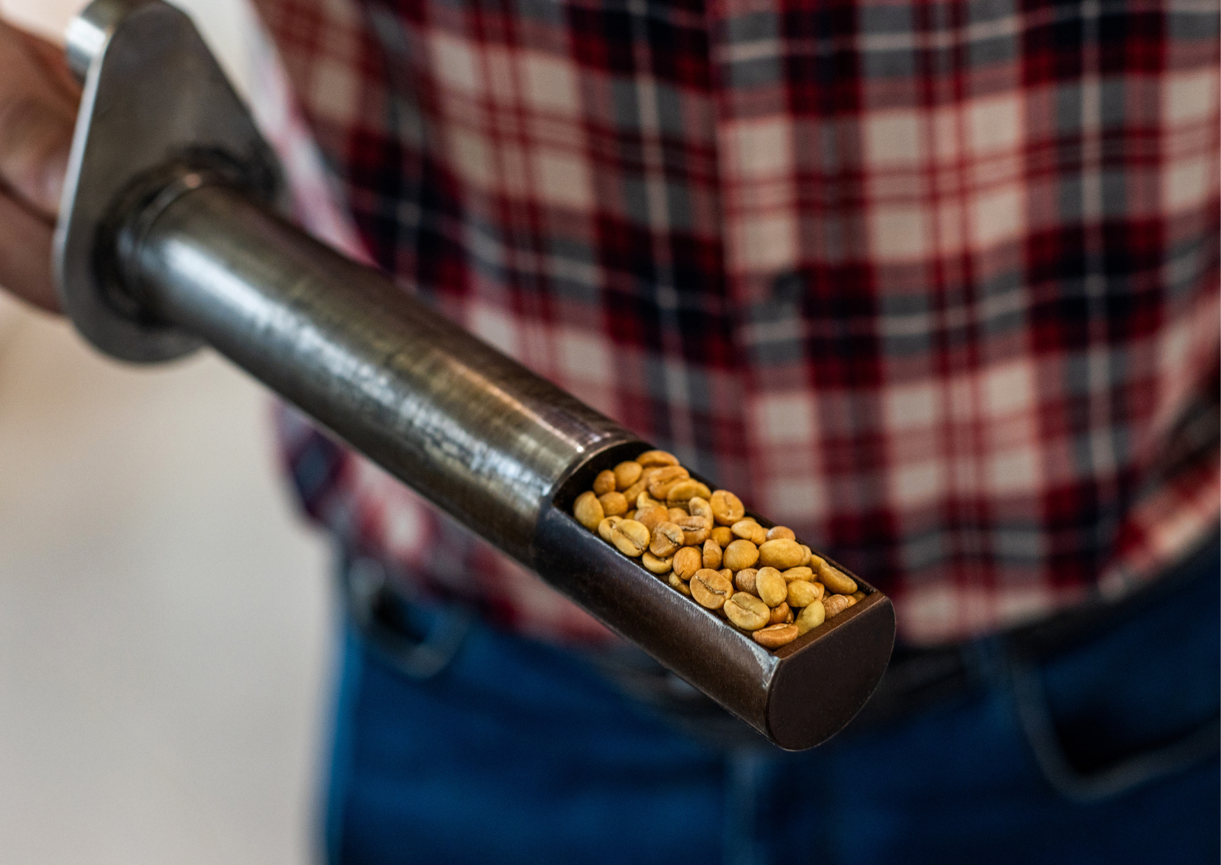 Punktacja SCA jako miara jakości ziarna w kawie specialty